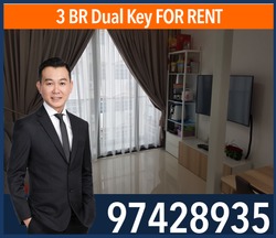 Loft 33 (D14), Apartment #178654002